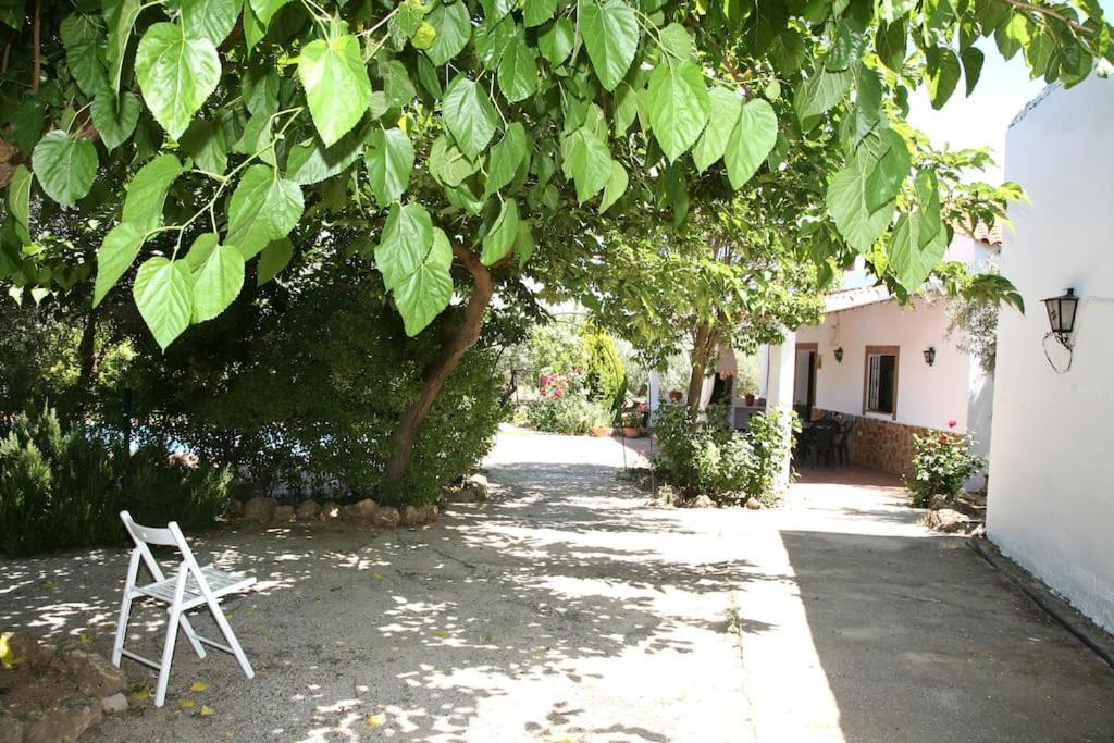 Cazorla-Alcon, Casa Hoya Don Gaspar Pozo Alcón Exterior foto